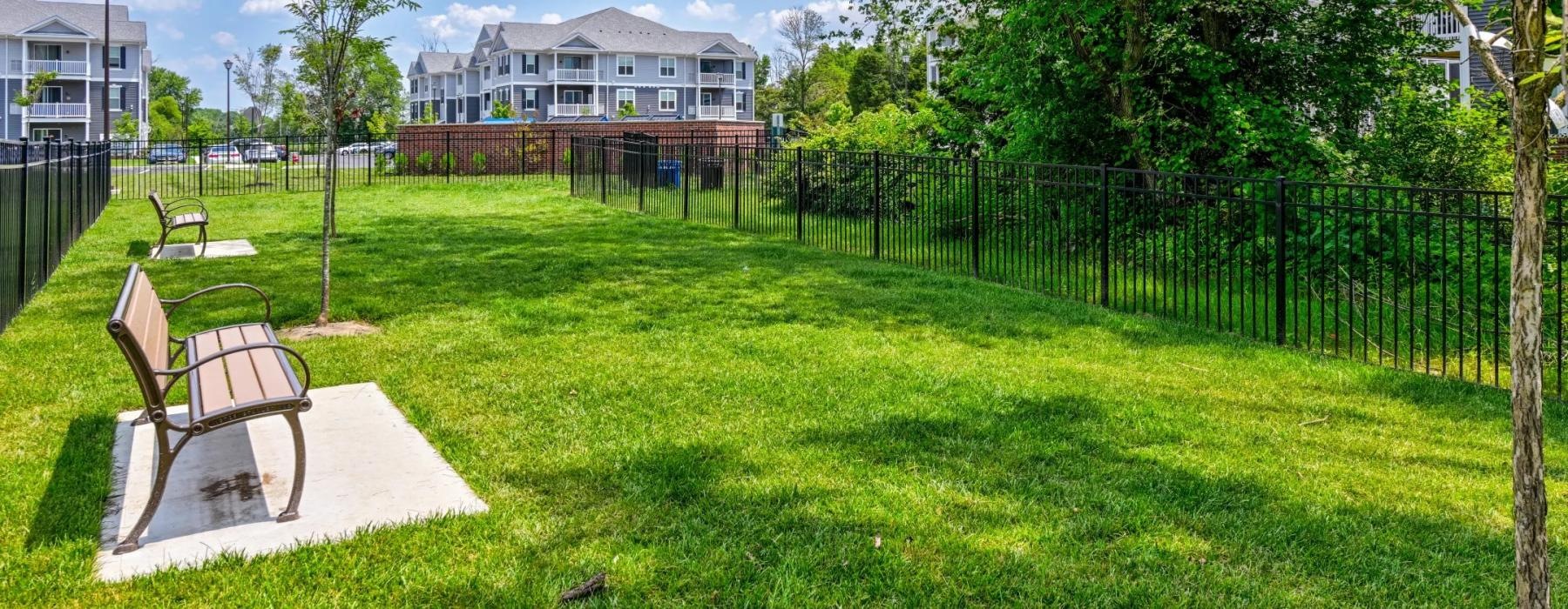 dog park with benches