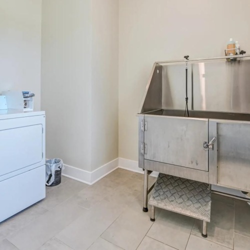 dog wash station in pet spa